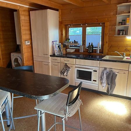 Ferienhaeuser An Den Orgelpfeifen Scheibenberg Exteriér fotografie